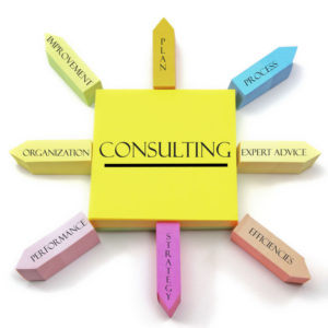 Private Practice Consulting Services